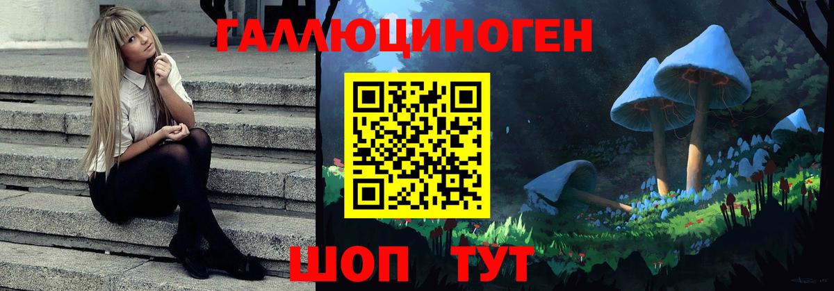Галлюциногенные грибы прущие грибы  Вход с VPN  Кинель 